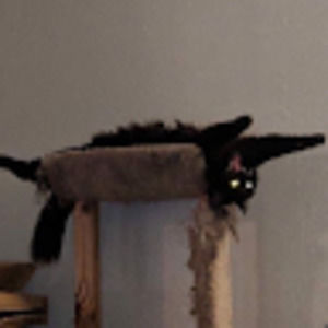 Meet your Posher, Marvin